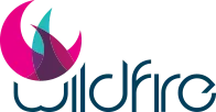 Wildfire Information Systems